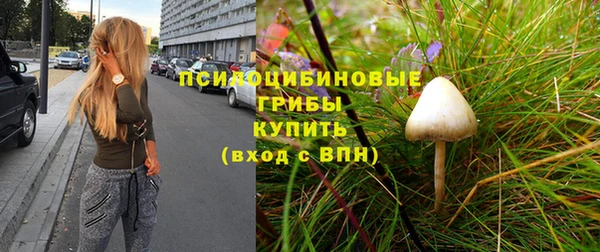 ПСИЛОЦИБИНОВЫЕ ГРИБЫ Абдулино