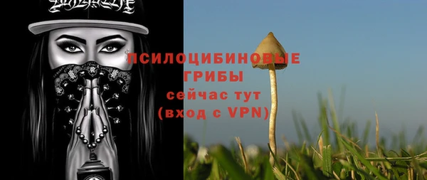 ПСИЛОЦИБИНОВЫЕ ГРИБЫ Абдулино