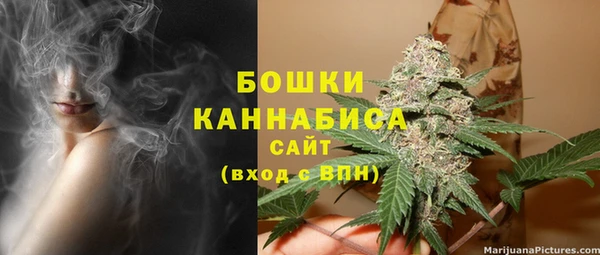 ПСИЛОЦИБИНОВЫЕ ГРИБЫ Абдулино