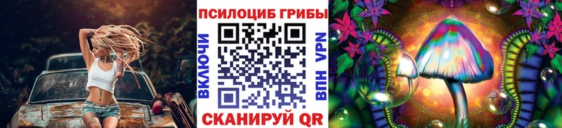 Галлюциногенные грибы мицелий  где найти наркотики  Камышлов 